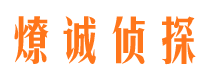 米易市调查公司